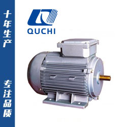 YS系列電機(jī)