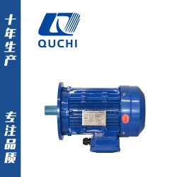 YE3化工泵專(zhuān)用電機(jī)