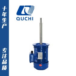 非標(biāo)定制三相異步長軸電機
