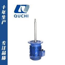 長軸化工專用電機